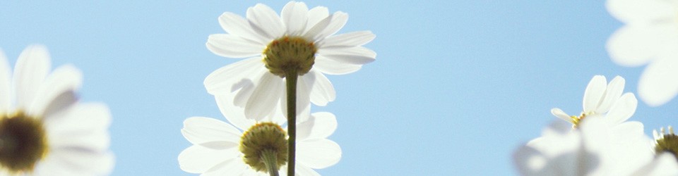 Slide background